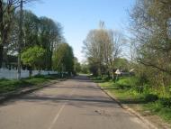 Черниця з panoramio.com