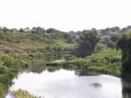 Новоукраїнка з panoramio.com