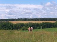 Висока Яруга з panoramio.com