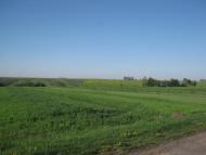 Черниця з panoramio.com