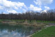Пелагіївка з panoramio.com