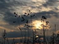 Мелені з panoramio.com