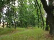 Семирічка з panoramio.com