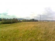 Чишки - Останні фото