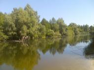 Скуносове - Останні фото