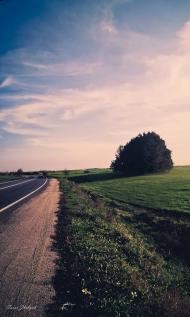 Болеславчик з panoramio.com