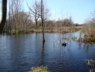 Зарічне - Останні фото