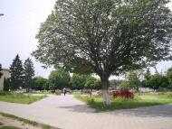 Сквира з panoramio.com - Сквира