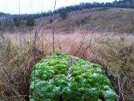 Нова Січ з panoramio.com