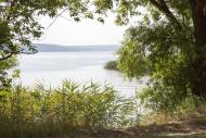 Новокомсомольське з panoramio.com