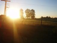 Віленька з panoramio.com