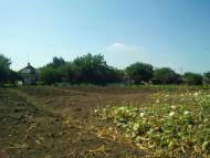 Островського з panoramio.com