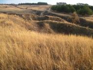 Біленьке з panoramio.com