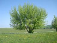 Кузьмин з panoramio.com