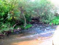 Городець з panoramio.com