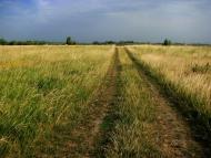 Улянівка з panoramio.com