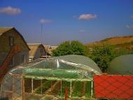 Севастянівка з panoramio.com