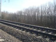 Гришки - Останні фото