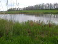 Куликове з panoramio.com