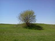 Великий Омеляник з panoramio.com