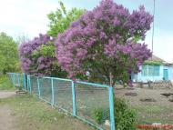 Новоочаків з panoramio.com