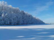 Іванківці з panoramio.com