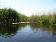 Петровського з panoramio.com