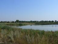 Новозлатопіль з panoramio.com