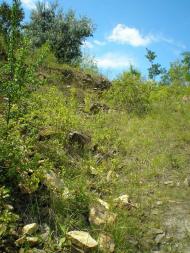 Кам'янка з panoramio.com