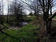 Дошне з panoramio.com