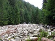 Максимець з panoramio.com