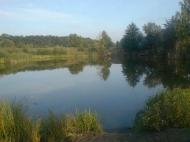 с.Голуб'ятин.