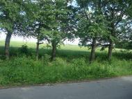 Малиничі з panoramio.com