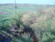 Шевченка з panoramio.com