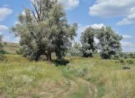 Вільхівка з panoramio.com - Вільхівка