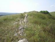 Вишневе з panoramio.com