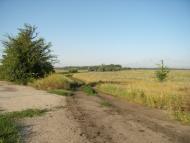 Хроли з panoramio.com