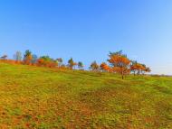 Нижня Кринка з panoramio.com