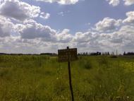 Рудня з panoramio.com