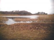 Андріївка з panoramio.com