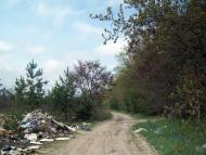 Вишняки з panoramio.com