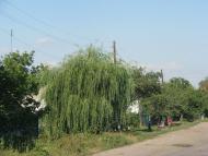 Безпалівка з panoramio.com