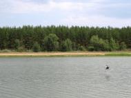 Вільхове з panoramio.com - Vilkhove