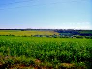 Багачівка з panoramio.com