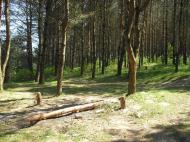 Забороль з panoramio.com