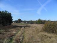 Арламівська Воля з panoramio.com