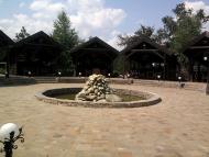 Вишневе з panoramio.com