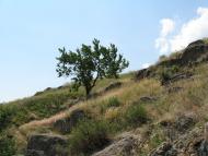 Звонецьке з panoramio.com