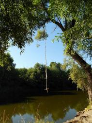 Знаменівка з panoramio.com - Znamenivka