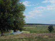 Куна з panoramio.com